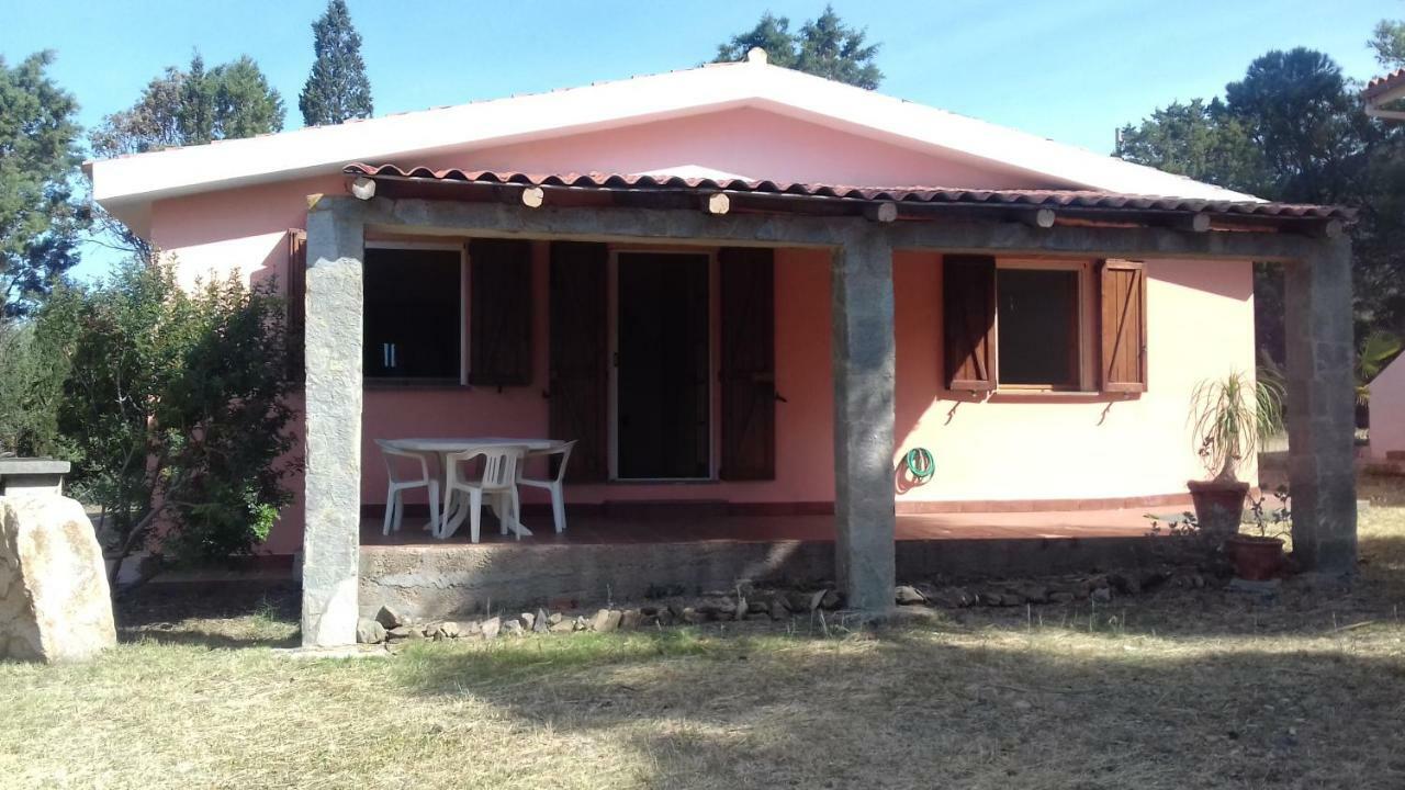 Zeffiro Holiday home