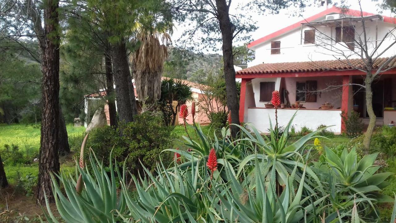 Holiday home Zeffiro
