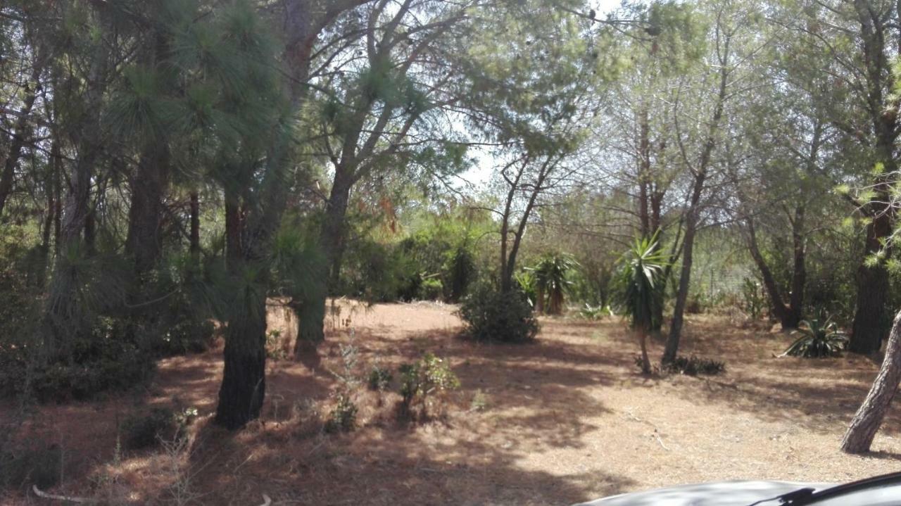 Casa de Férias Zeffiro Chia