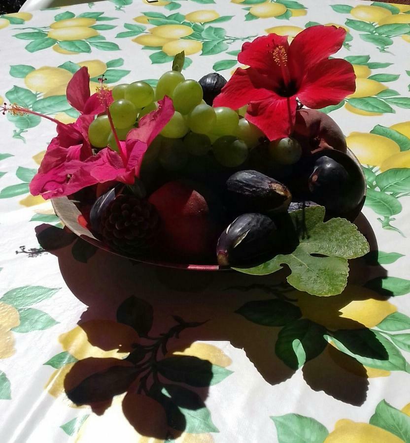 Сasa de vacaciones Zeffiro *